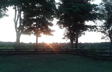 Gościniec Tymawa - Foto 24