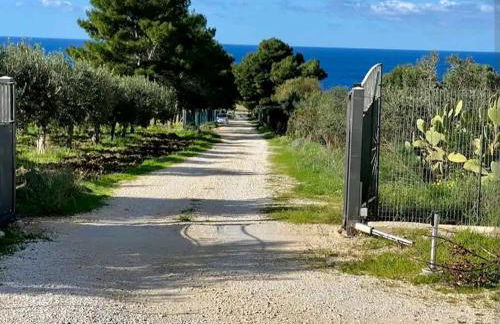 Central Apartment Macari Cala Azzurra Residence - Foto 37