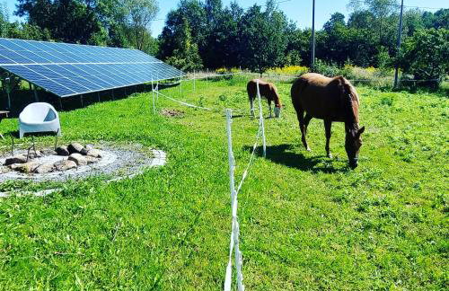 Maja Pokoje z Widokiem - Foto 25