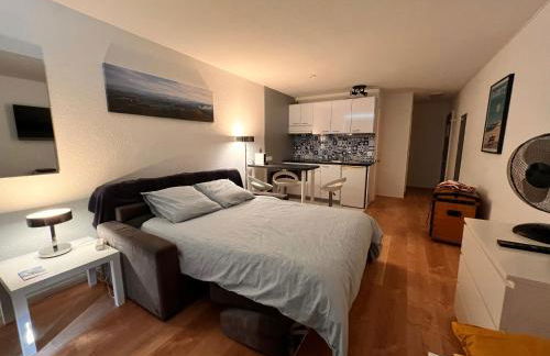 L'océan à perte de vue, la grande plage à vos pieds - Foto 10