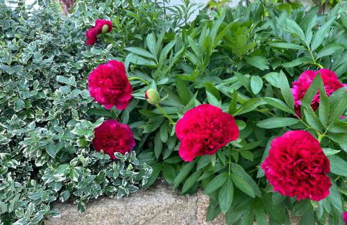 ZEIT für DICH - Foto 65