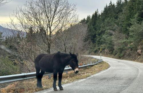 La casa di neve Filettino - Foto 3