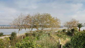 Riverwindows - Foto 3