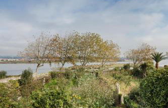 Riverwindows - Foto 3