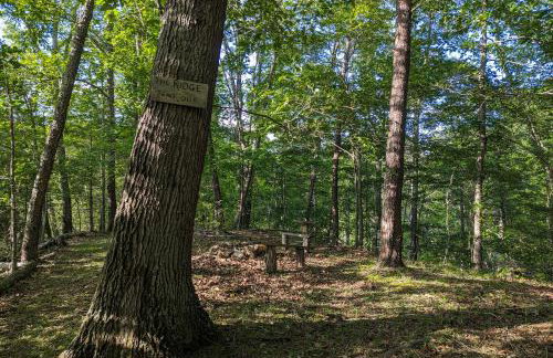 Hot Tub and River Views Doolittle Mountain Cabin - Foto 30