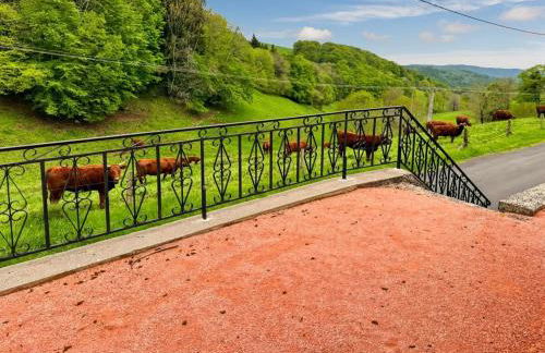 Maison au cœur de la vallée du Cantal - 2pers - Photo 23
