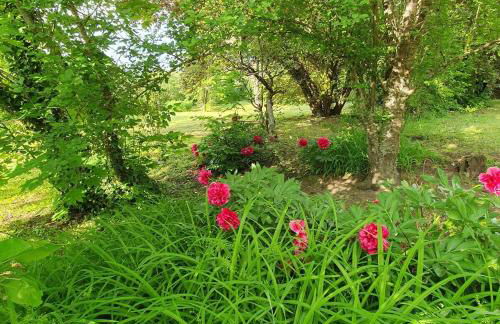 Les Demeures du Parc, La Paroisse, proche des Thermes - Foto 7