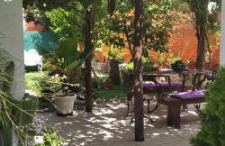 O Cantinho de Góis - Foto 6