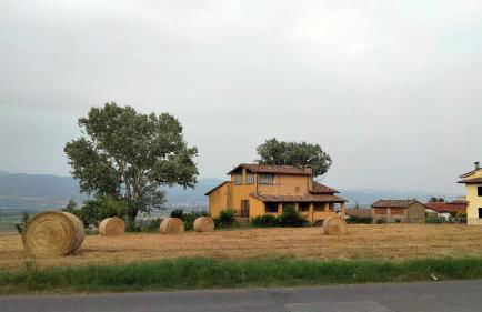 Vigna del Poggio - Foto 1