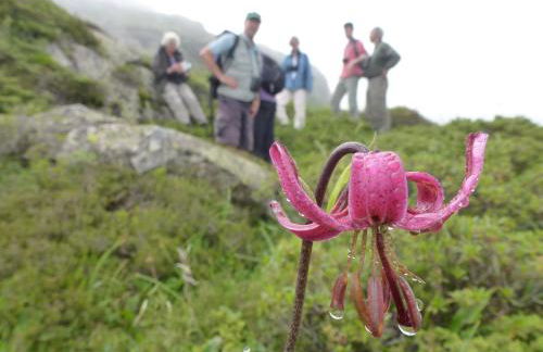 Metsola Apartamentos Rurales - Foto 46