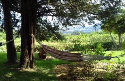 Quinta Verde Sintra - Casa de Campo - Foto 21