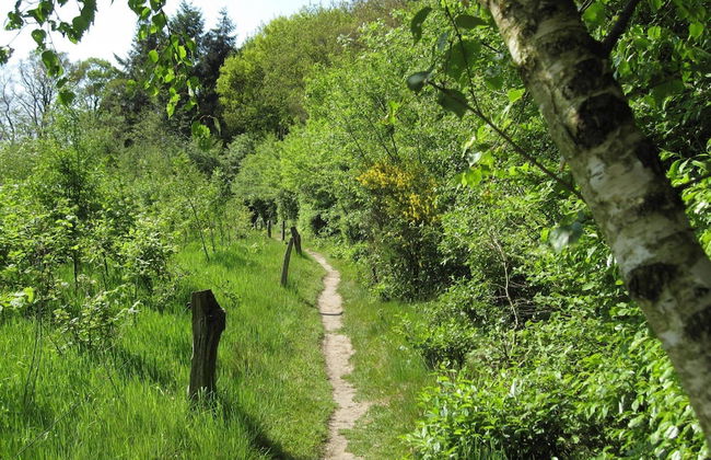 Nice House near River - Photo 32