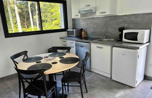 Appartement Le Mans proche du circuit des 24h - Photo 7