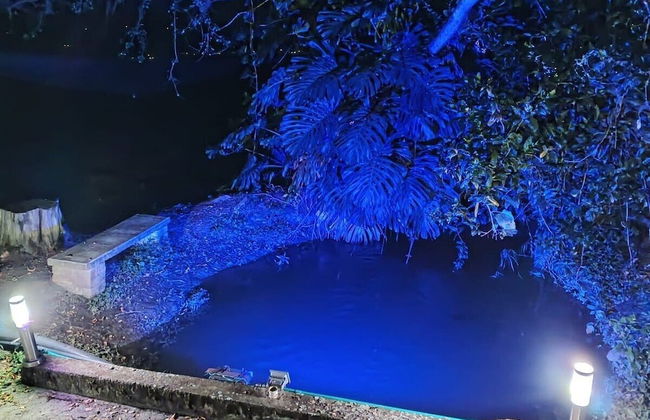 La Guarida - Photo 33