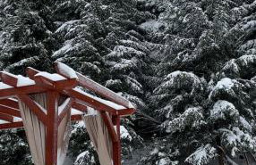 Leśna Przystań Gorce - Foto 27