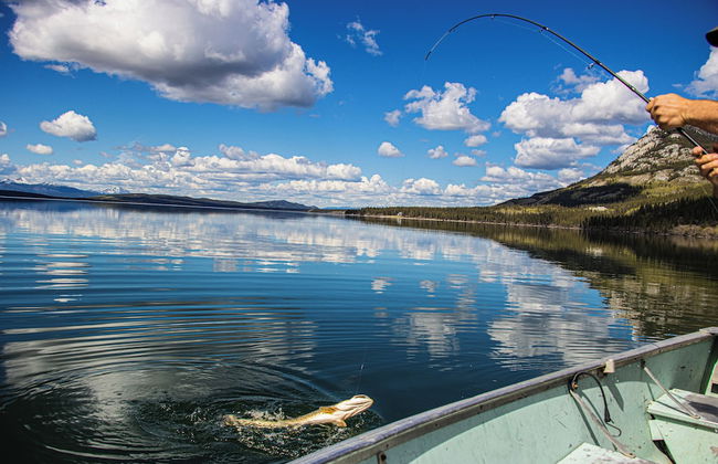 Little Atlin Lodge - Photo 42