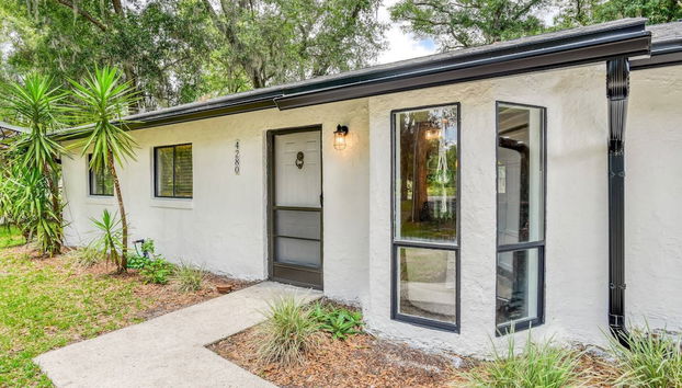 Jungle Oasis - Foto 4, Exterior