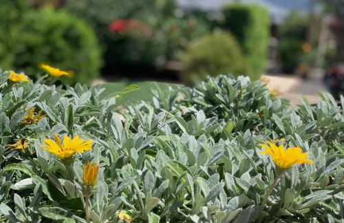 Casa La Masía - Foto 51