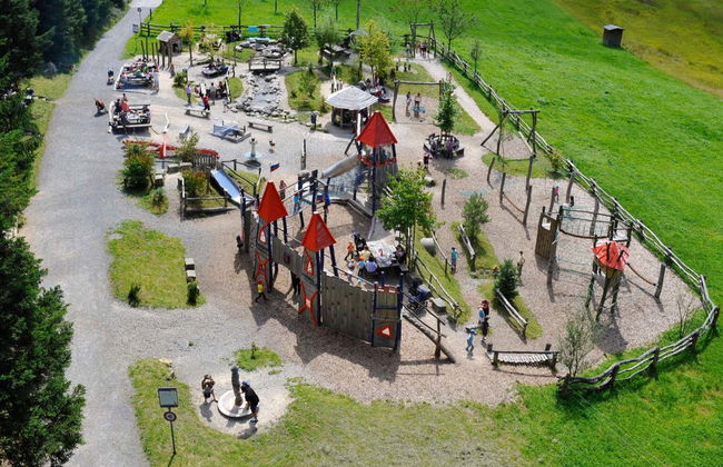 Treno a cremagliera del monte Pilatus - Foto 8