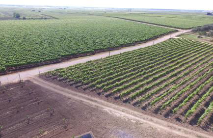 Terra di Negroamaro - Foto 37