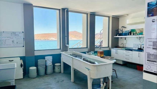 Uncover the secrets behind this underwater gem