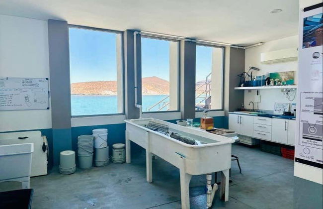 Pearl Farm Guided Tour - Photo 5