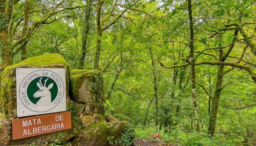 HAGAH Alojamentos - Gerês - Foto 3