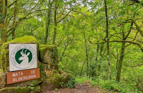 HAGAH Alojamentos - Gerês - Foto 3