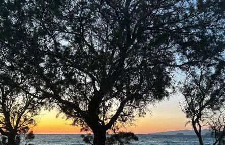 Dim Domus _ Apolakkia, South Rhodes - Foto 24