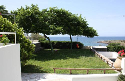 Aktio Studios - Foto 23