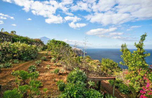 Holidays for the Soul - Photo 25