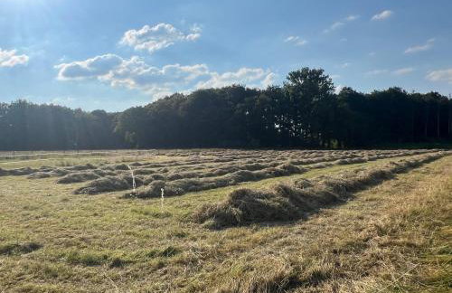 Wohnen auf dem Ponyhof - Photo 24