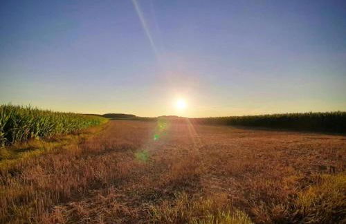 Das Kuenstlerhaus in Kammerstein - Photo 40
