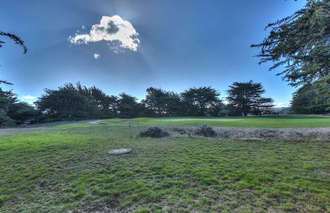 Cypress Meadows - Foto 22