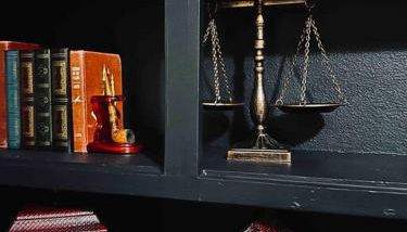 Mr. McGregor’s Garden - Foto 4