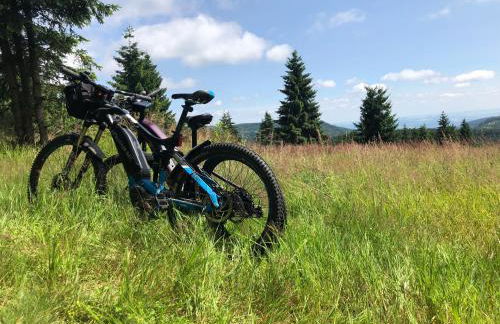 Verlegerhaus Seiffen - Foto 56