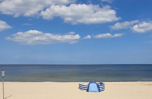 Ostsee-Urlaub-Zempin direkt am Küstenwald, nur wenige Minuten zum Strand, optimal für Paare mit 1 Hund bis 45 cm Schulterhöhe - Foto 48