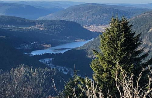 Duplex - Proche de Gérardmer - Foto 31