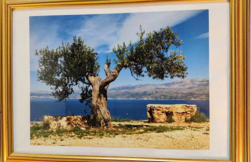 Olive Tree City Apartment - Foto 17