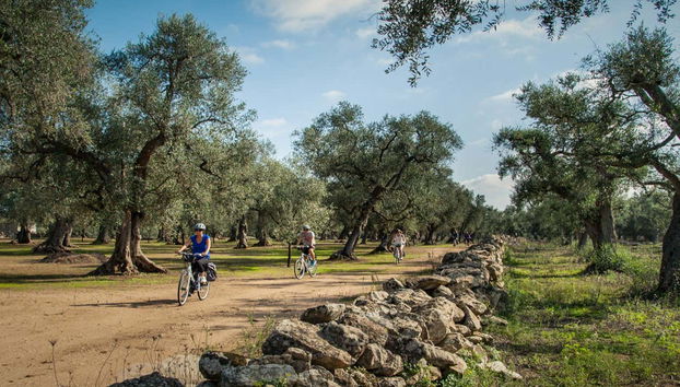 Vamos aproveitar a natureza local