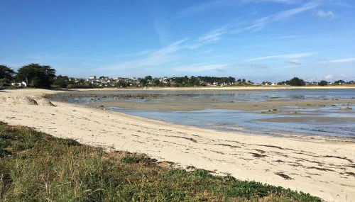 Belle maison avec jardin clos proche plage à l'ILE GRANDE - Réf 291 - Foto 2