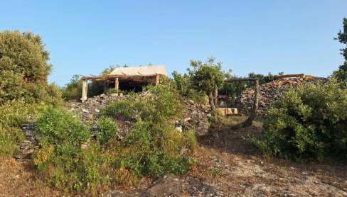 Miki's Little House - Foto 2