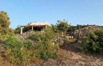 Miki's Little House - Photo 2