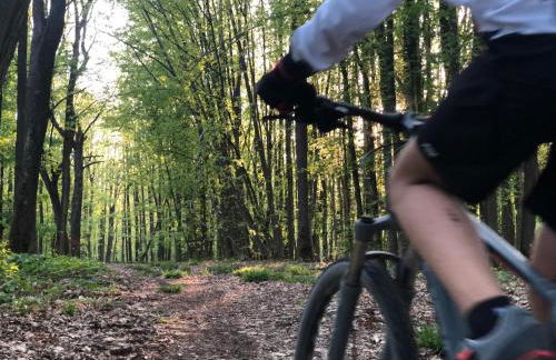 NEU Feinzeit Chalet mit privater Sauna - Foto 39