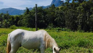 Encanto da Pedra - Photo 3