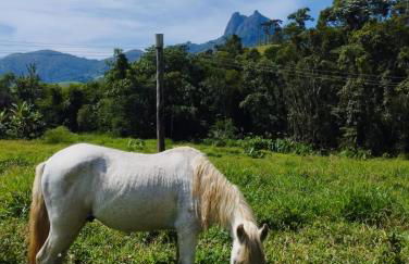 Encanto da Pedra - Photo 3