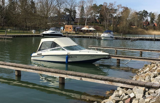 Ferienhaus Muritzhus an der Muritz - Foto 20