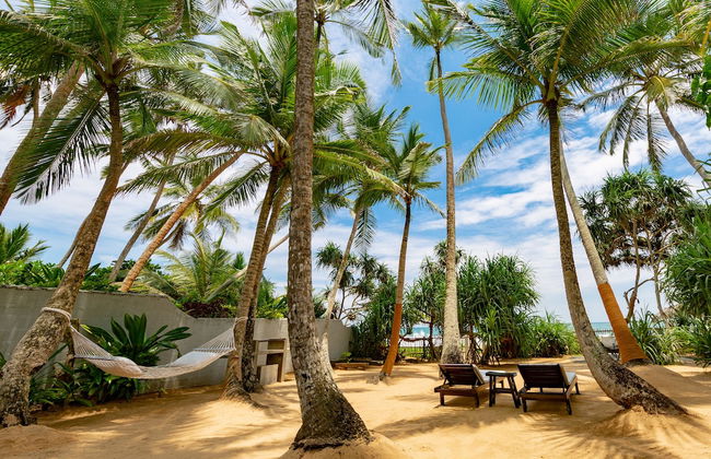 Taru Villas - 906 - Hikkaduwa - Photo 15