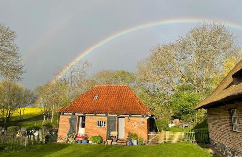 idyllisch gelegenes Ferienhaus nähe Heiligenhafen - Foto 28