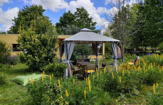 Casa das Palmeiras - Pedagogic Farm - Foto 57